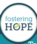 Foster Care Babysitting Training Certification